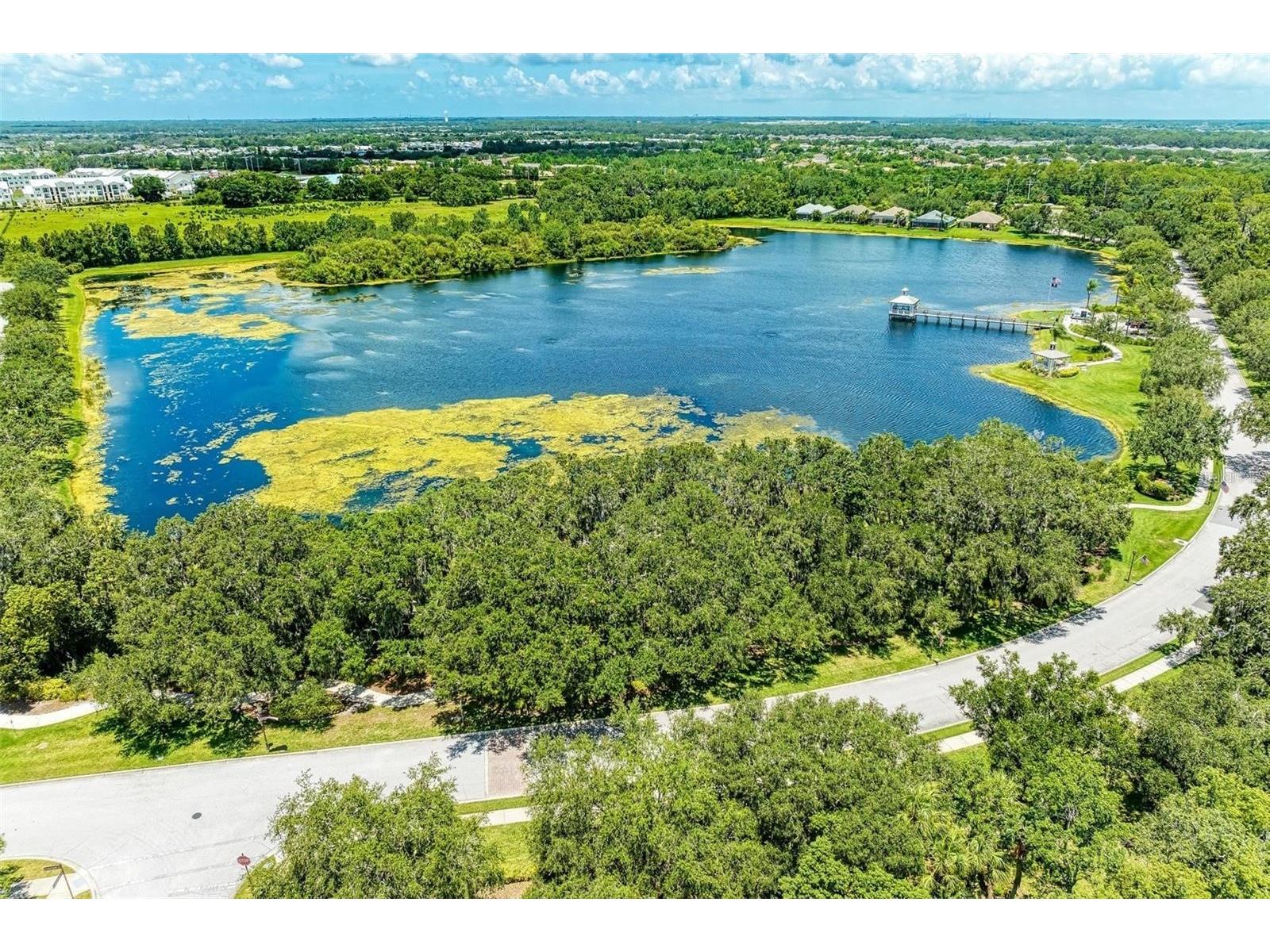 11919 Major Turner Run Parrish FL 34219 A4691756 image43