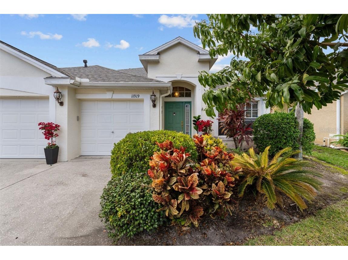 11919 Northumberland Drive Tampa FL 33626 TB8337710 image1