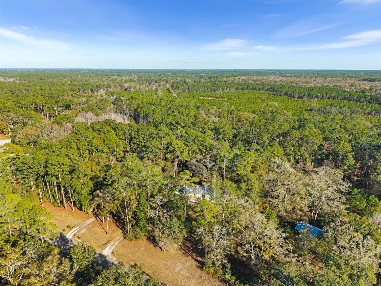 11919 NW 23rd Drive Gainesville FL 32609 OM717532 image39