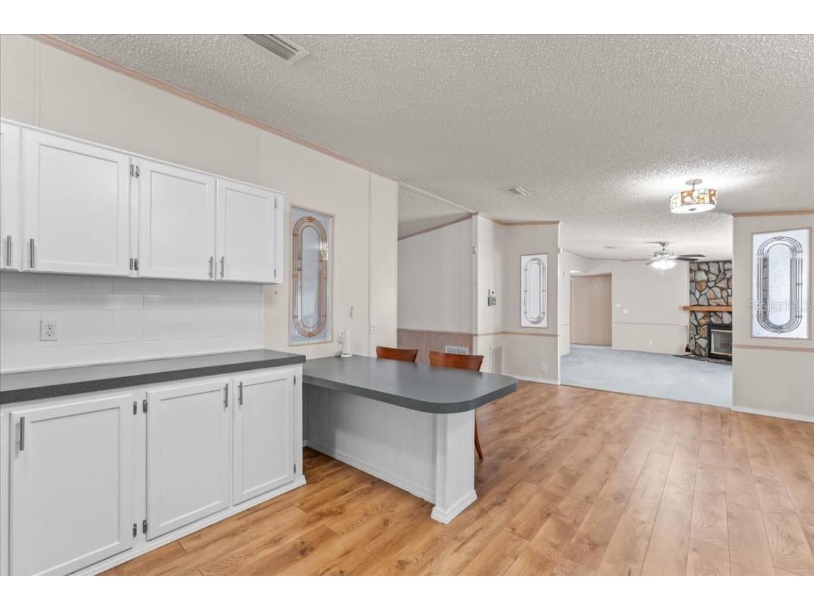 11919 Rhodine Road Riverview FL 33579 TB8438893 image15