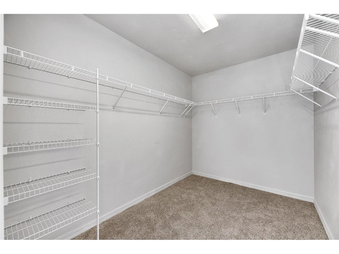 1192 Multiflora Loop Lutz FL 33558 TB8406500 image16