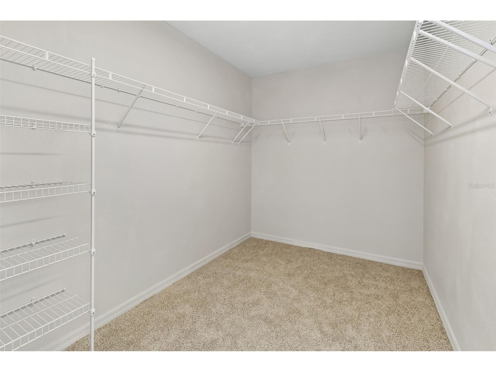 1192 Multiflora Loop Lutz FL 33558 TB8511796 image20