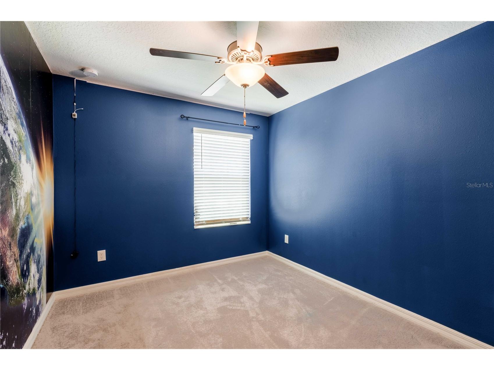 11920 Castine Street New Port Richey FL 34654 TB8514400 image26