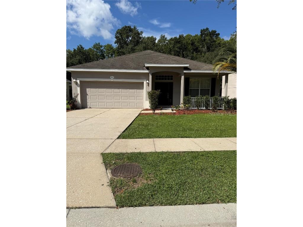 11920 Palm Bay Court New Port Richey FL 34654 TB8415782 image1