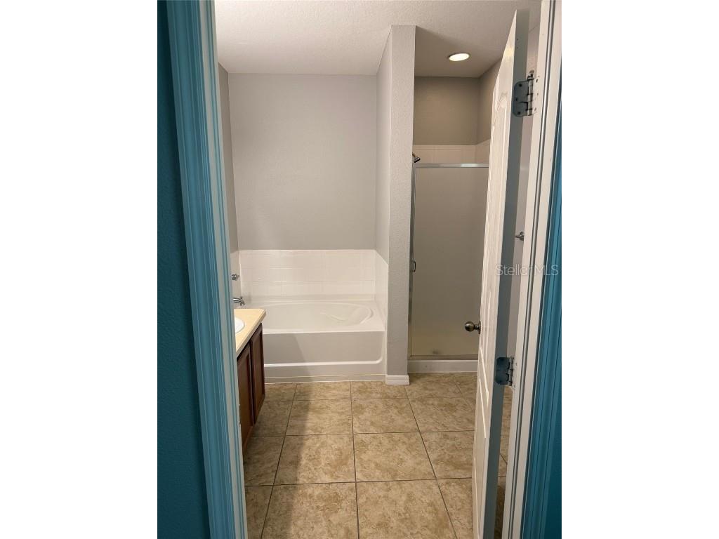 11920 Palm Bay Court New Port Richey FL 34654 TB8415782 image11