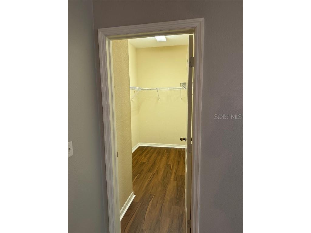 11920 Palm Bay Court New Port Richey FL 34654 TB8415782 image12