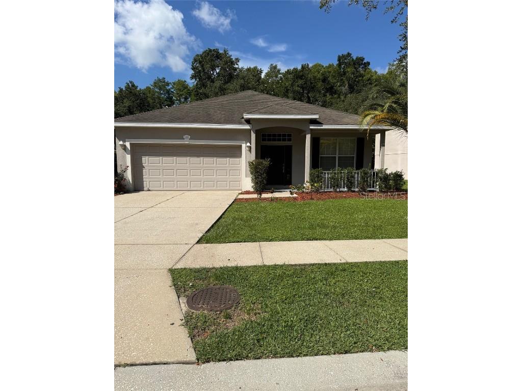 11920 Palm Bay Court New Port Richey FL 34654 TB8415782 image18