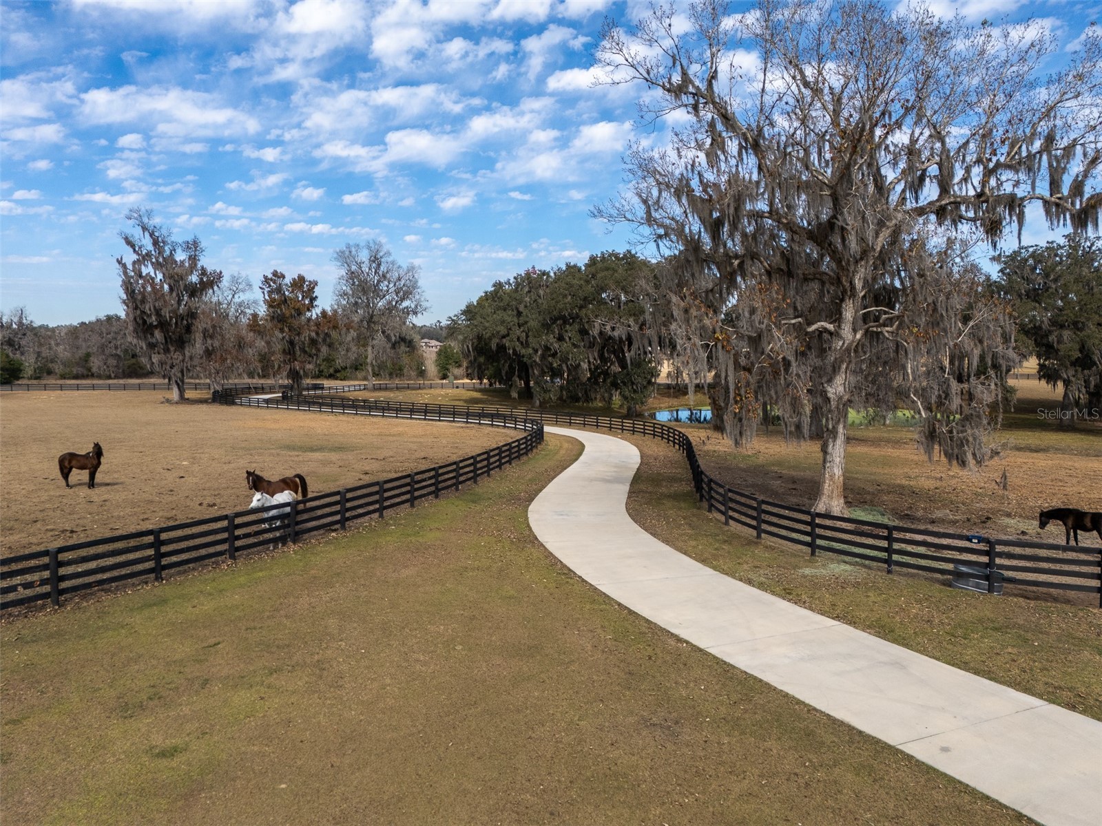 11920 SE 22nd Avenue Road Ocala FL 34480 OM717321 image27