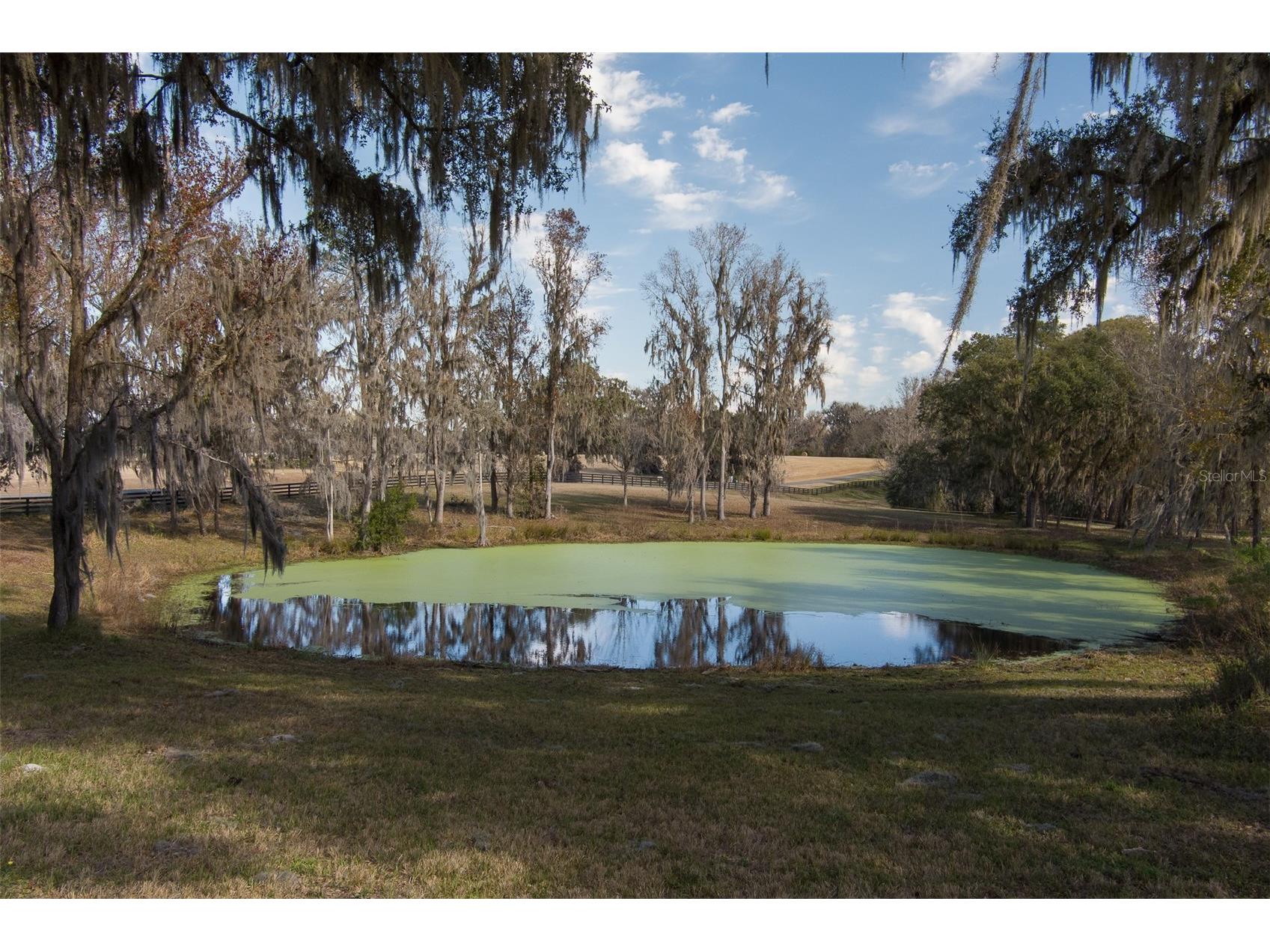 11920 SE 22nd Avenue Road Ocala FL 34480 OM717321 image28