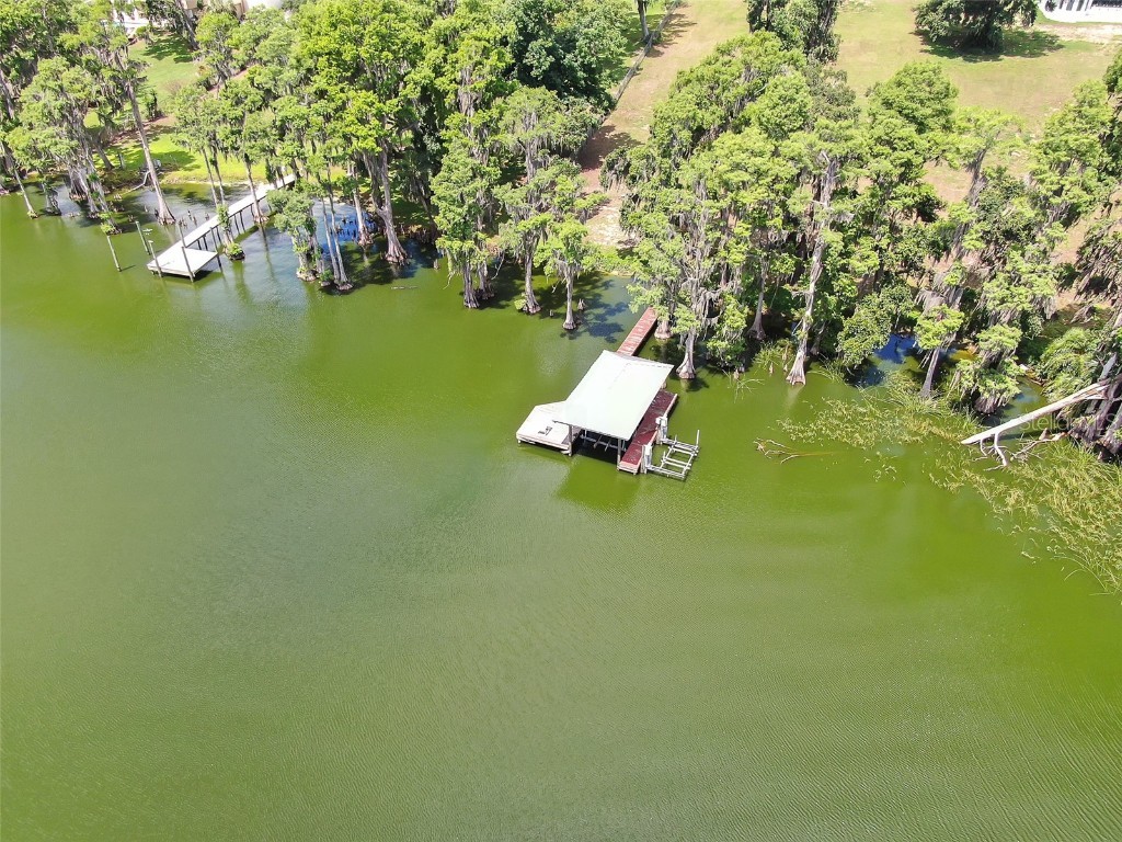 11921 Fort King Highway Thonotosassa FL 33592 TB8456613 image47