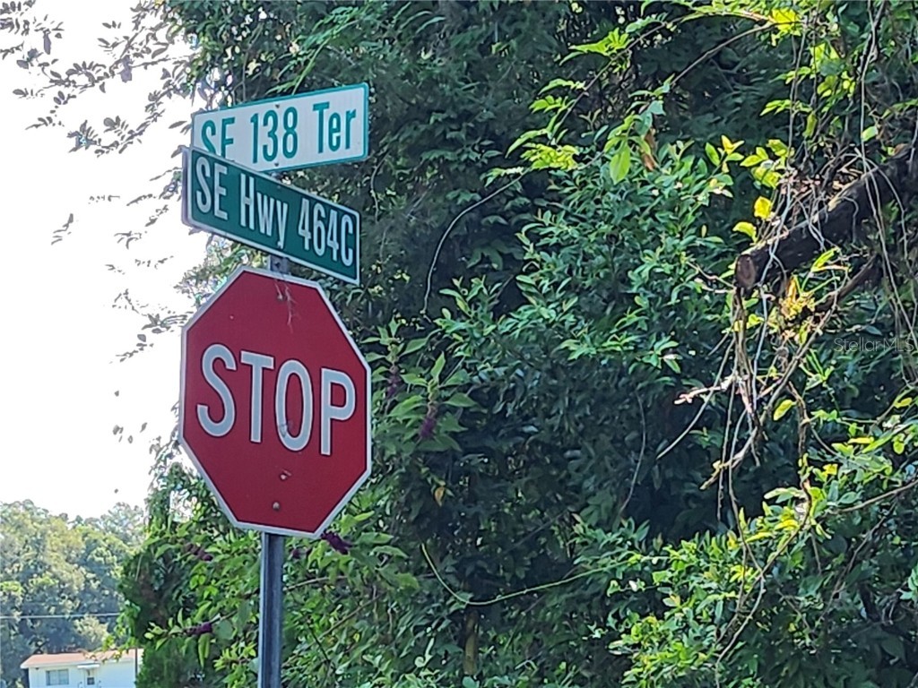 11921 SE 138th Terrace Ocklawaha FL 32179 OM708496 image1