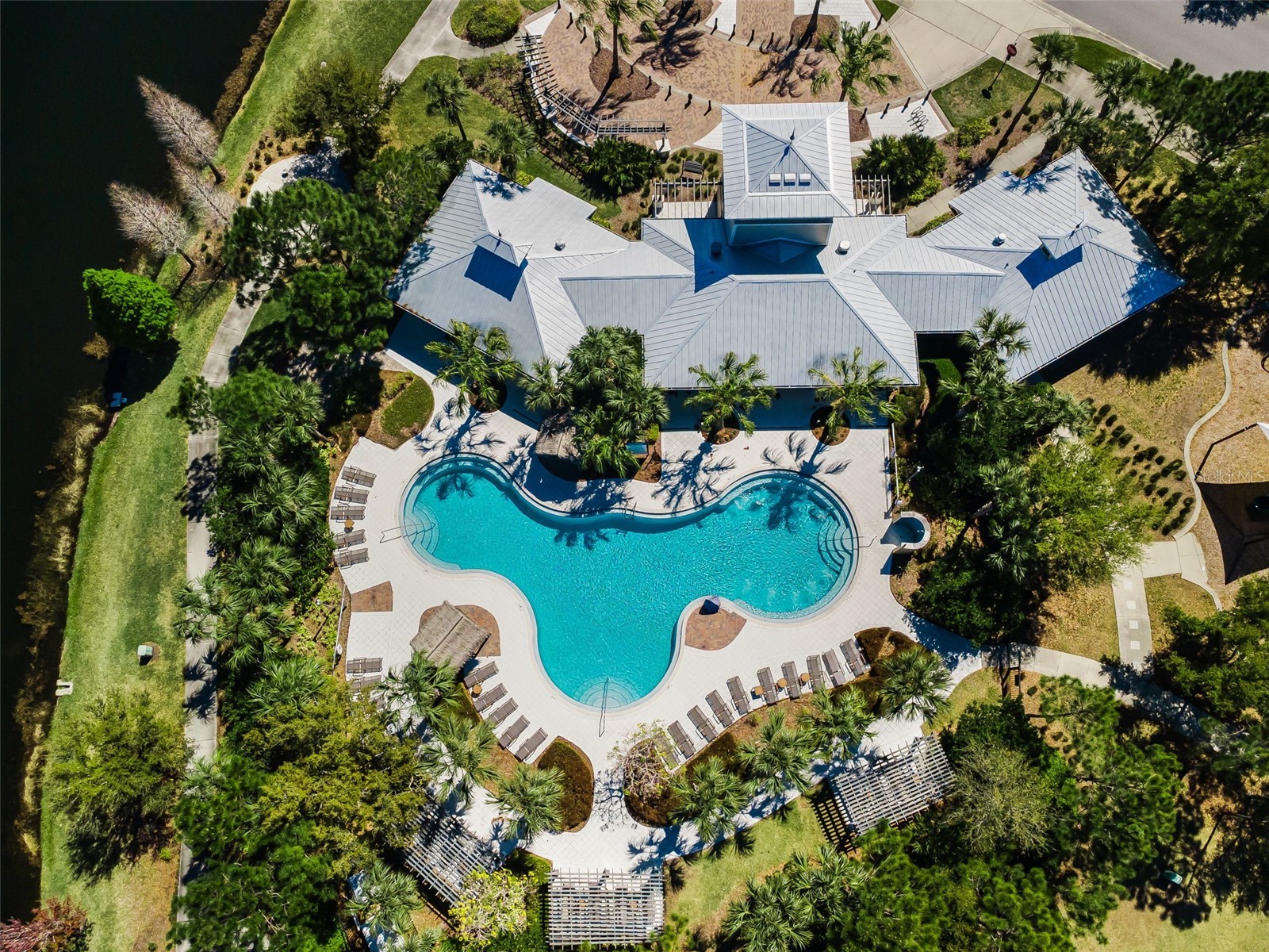 11922 Frost Aster Drive Riverview FL 33579 TB8488930 image66