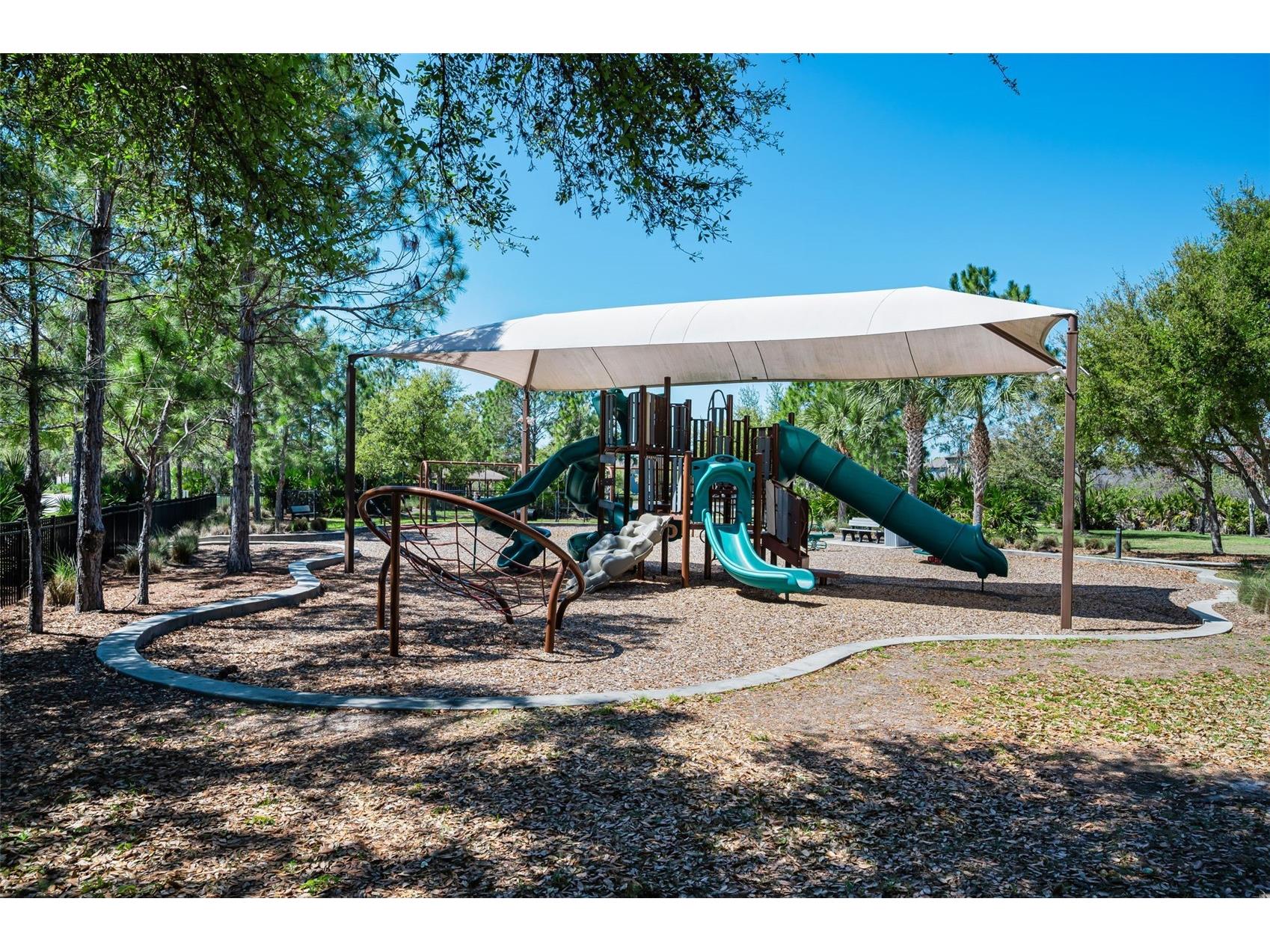 11922 Frost Aster Drive Riverview FL 33579 TB8488930 image75