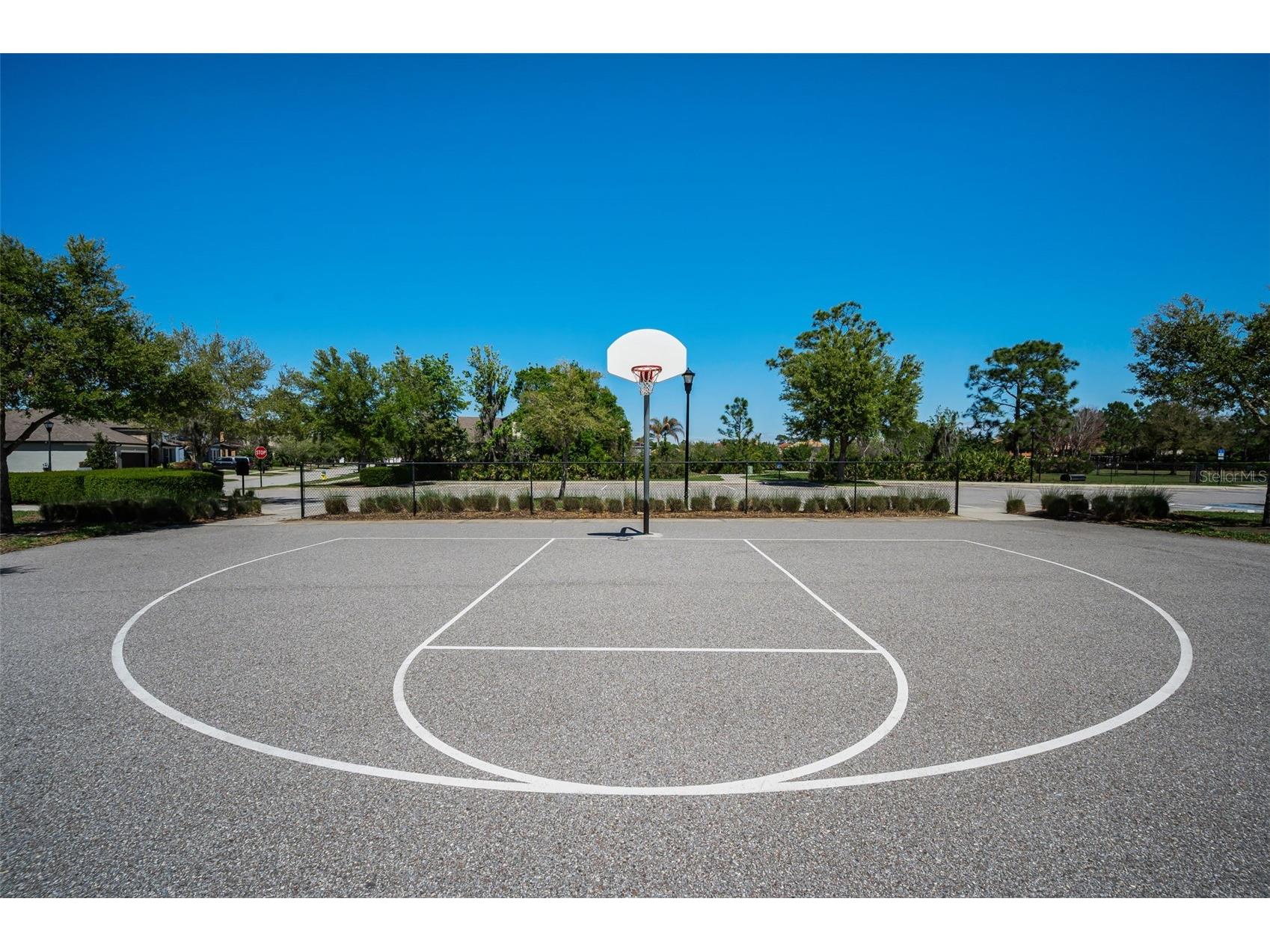 11922 Frost Aster Drive Riverview FL 33579 TB8488930 image83
