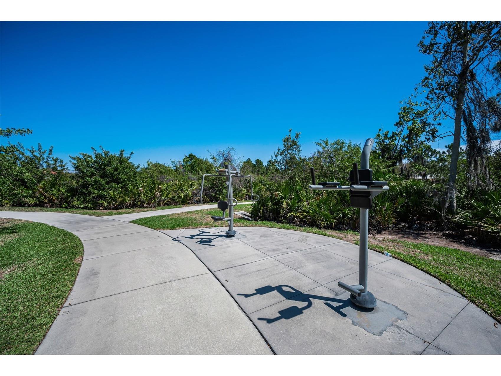 11922 Frost Aster Drive Riverview FL 33579 TB8488930 image86