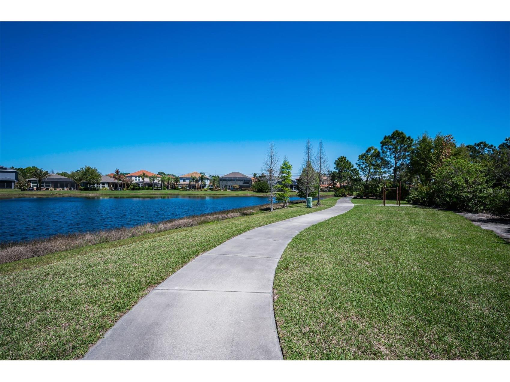 11922 Frost Aster Drive Riverview FL 33579 TB8488930 image87