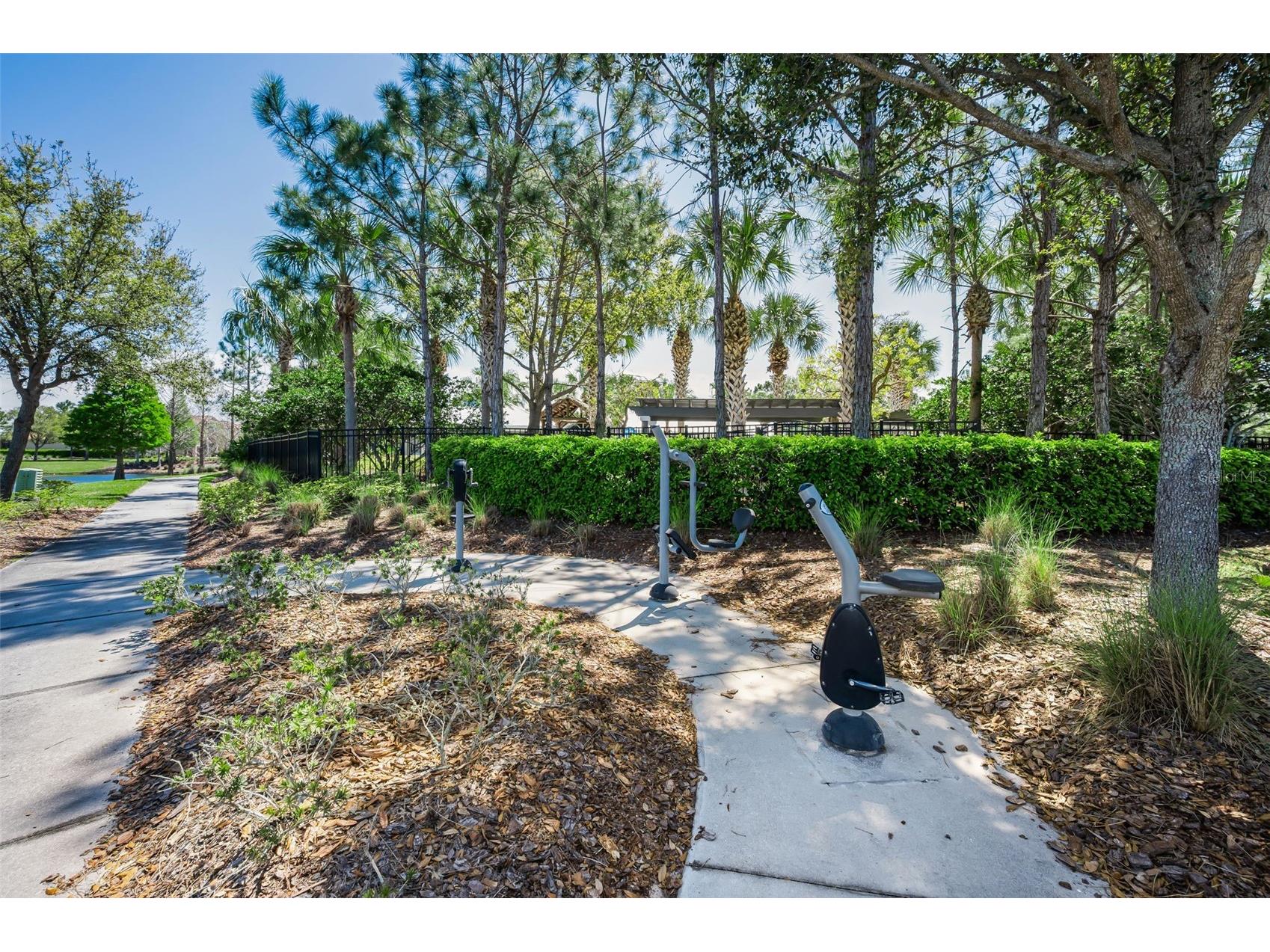 11922 Frost Aster Drive Riverview FL 33579 TB8488930 image89