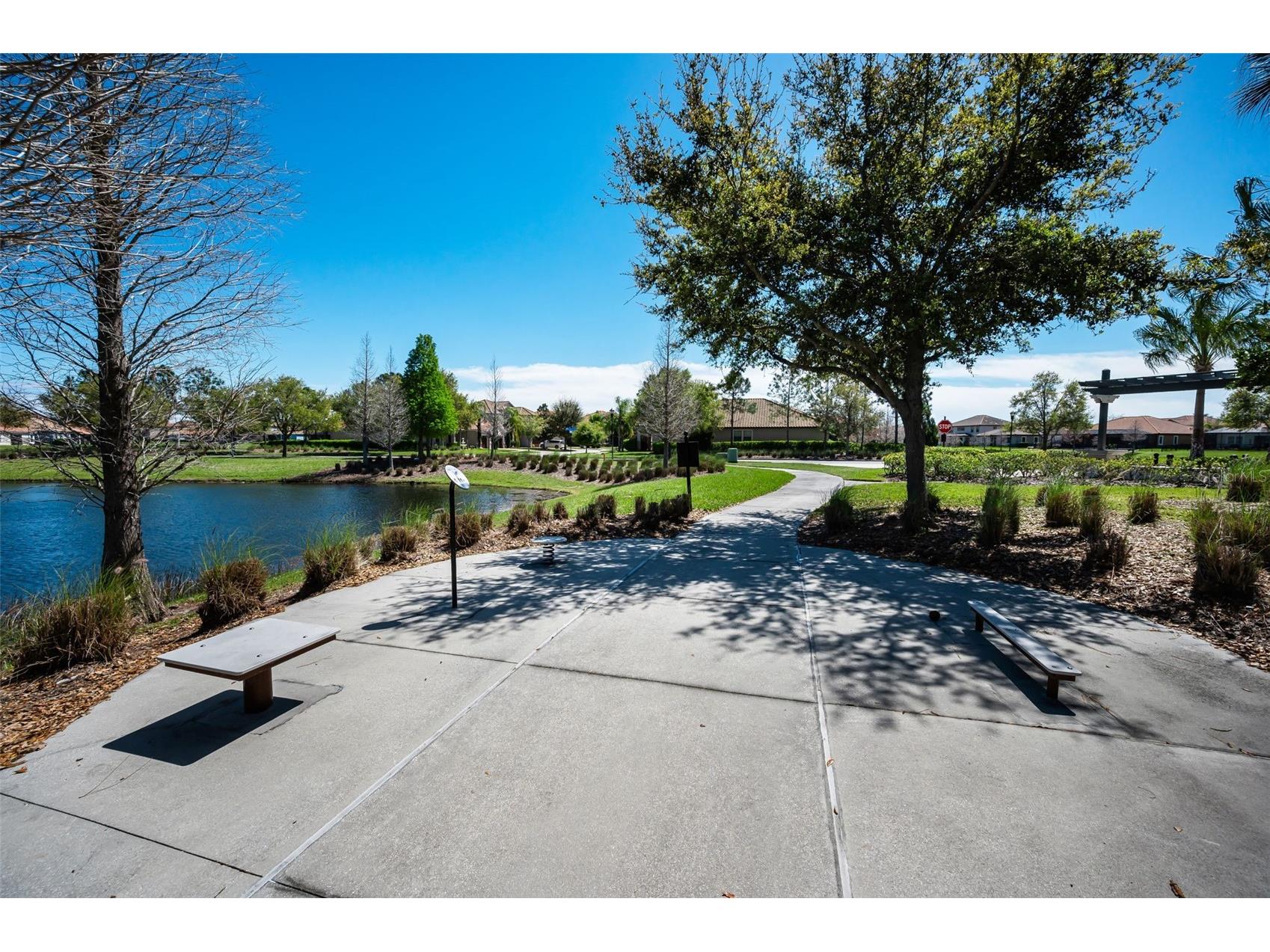 11922 Frost Aster Drive Riverview FL 33579 TB8488930 image90