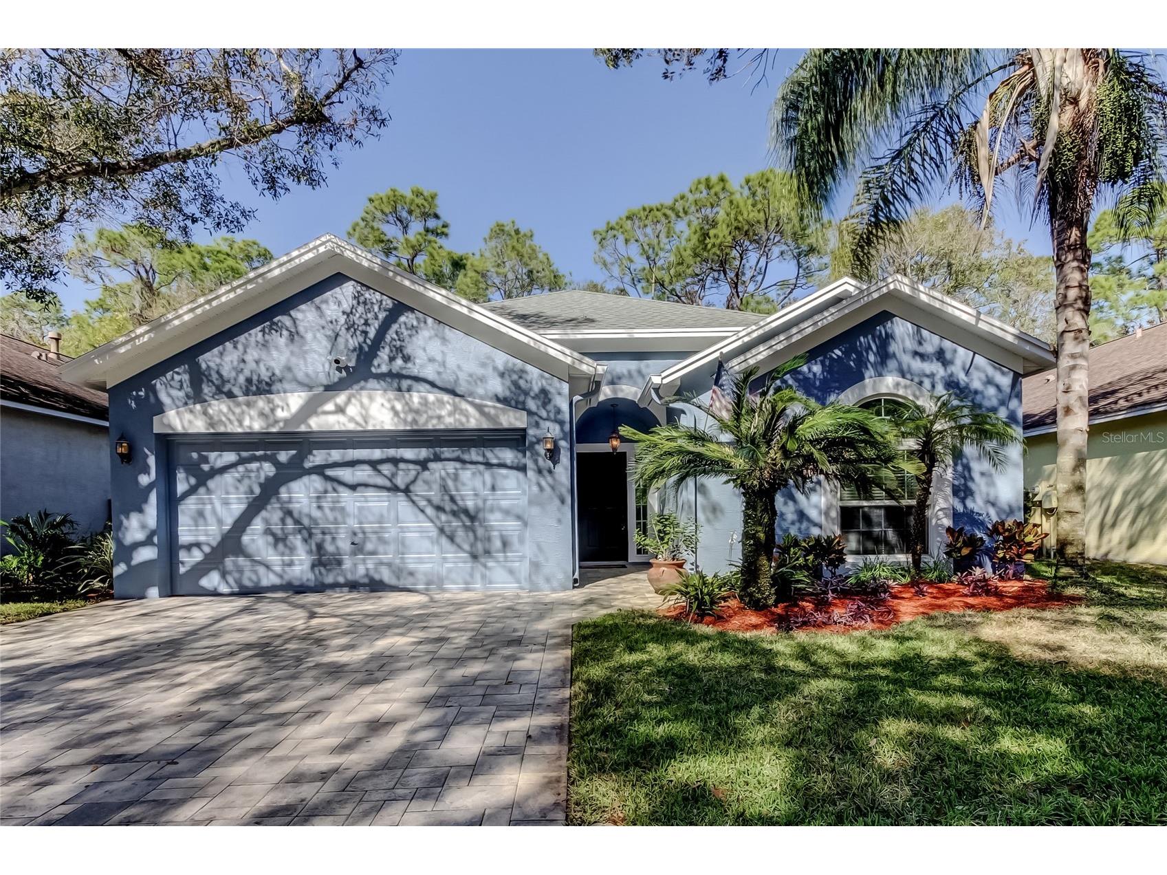 11923 Derbyshire Drive Tampa FL 33626 TB8461849 image1