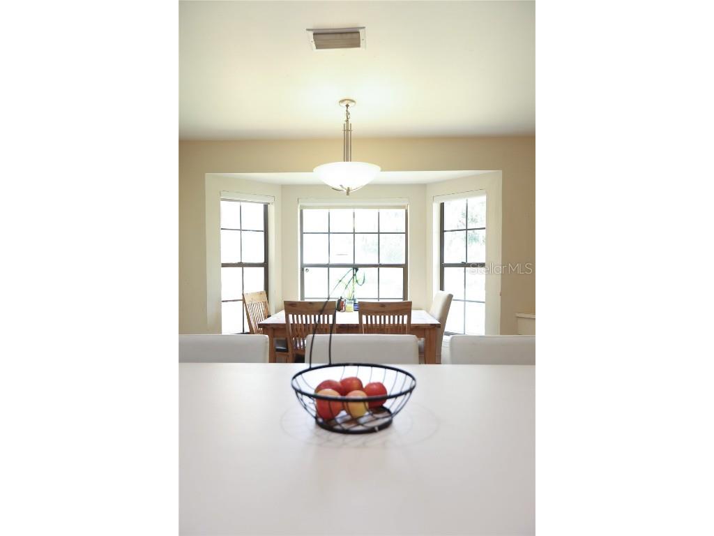 11923 Lake Butler Boulevard Windermere FL 34786 O6311003 image15