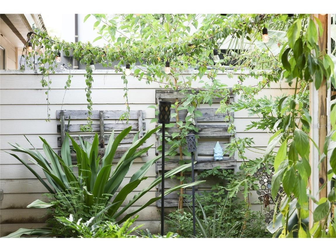 11923 Lake Butler Boulevard Windermere FL 34786 O6311003 image30