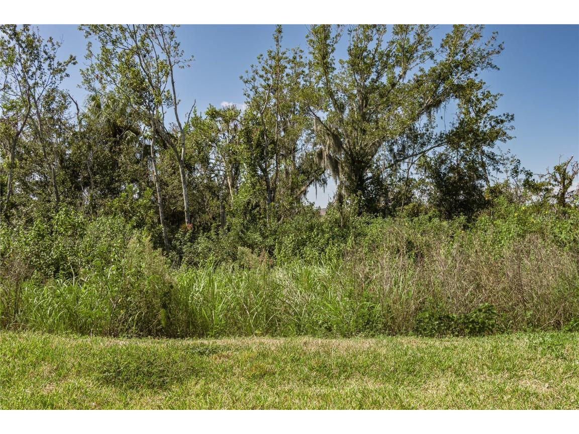 11923 Lilac Pearl Lane Parrish FL 34219 A4665579 image26