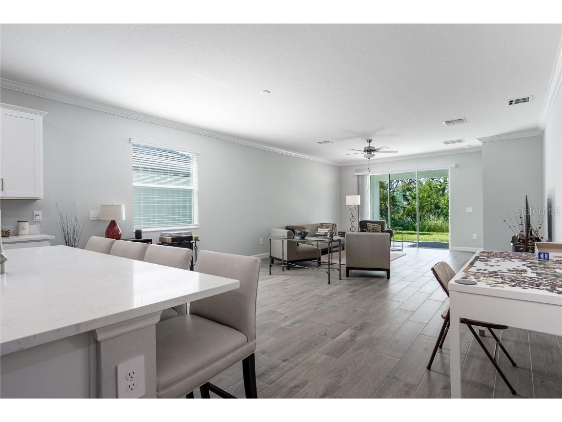 11923 Lilac Pearl Lane Parrish FL 34219 A4665579 image8