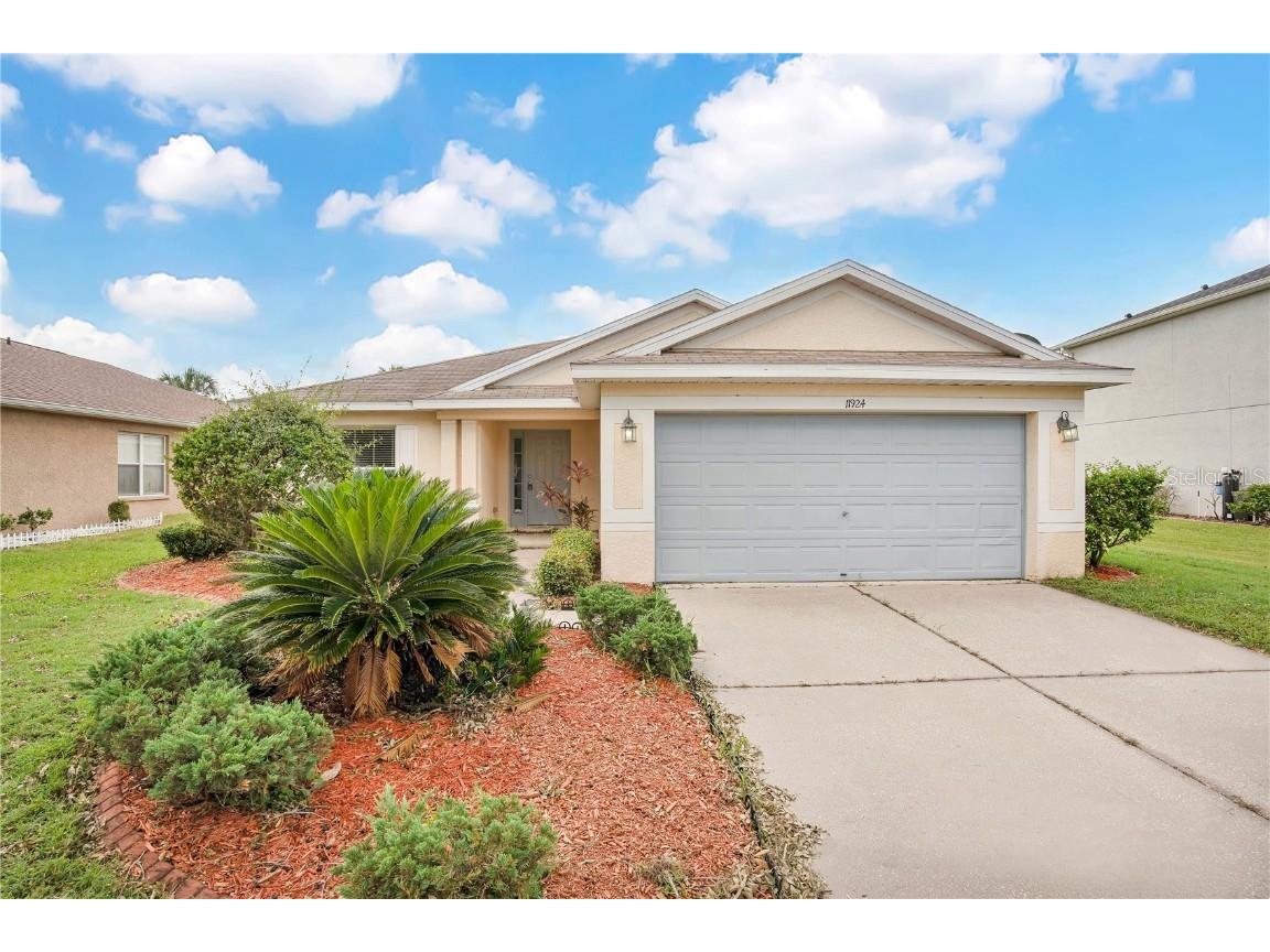 11924 Autumn Creek Drive Riverview FL 33569 O6244600 image1