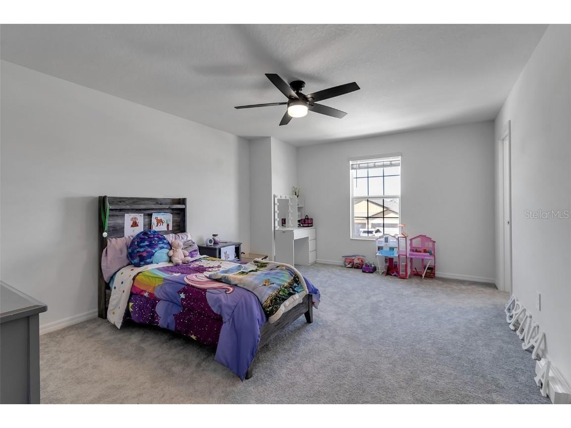 11924 Blue Diamond Trail Parrish FL 34219 A4672099 image61