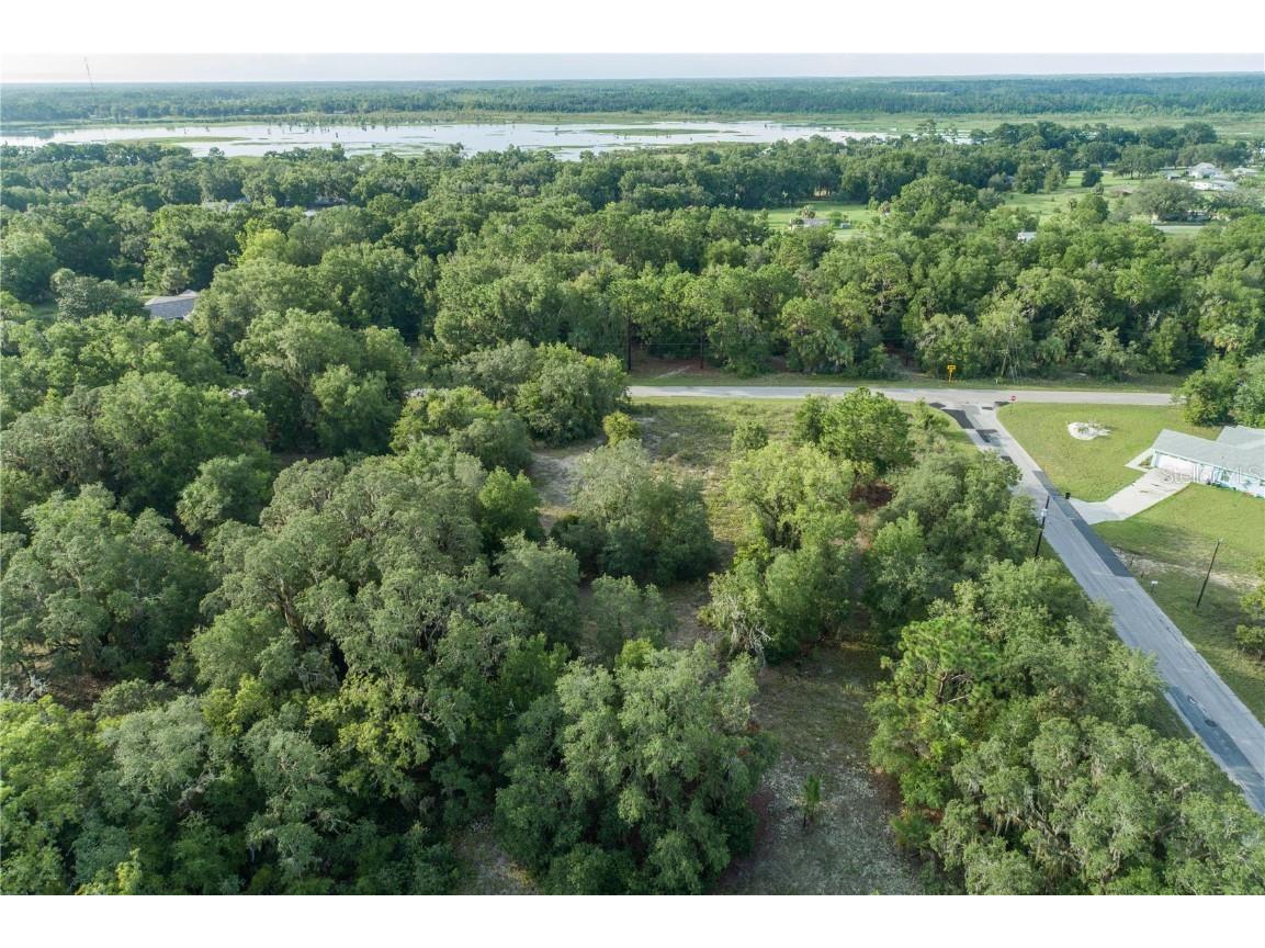 11924 N Belluzzi Terrace Dunnellon FL 34433 OM705454 image1