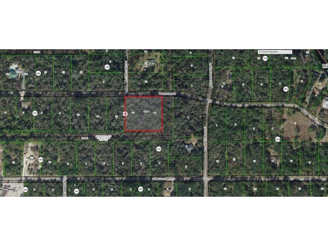 11924 W Deodar Street Crystal River FL 34428 OM726124 image2