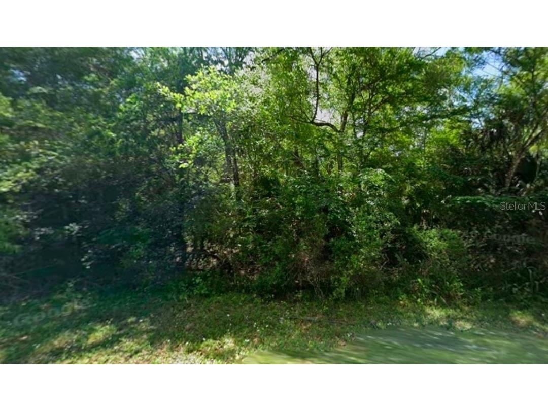 11924 W Deodar Street Crystal River FL 34428 OM726124 image3