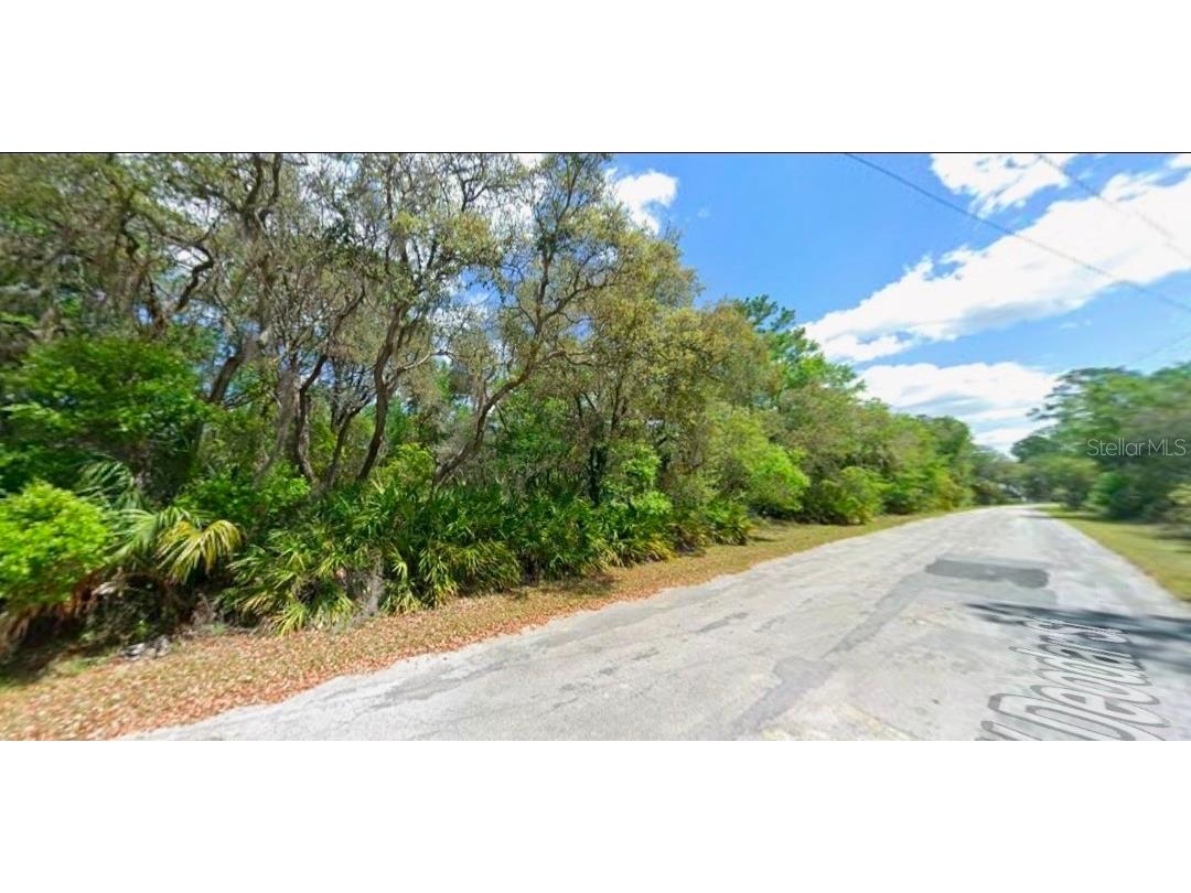 11924 W Deodar Street Crystal River FL 34428 OM726124 image4