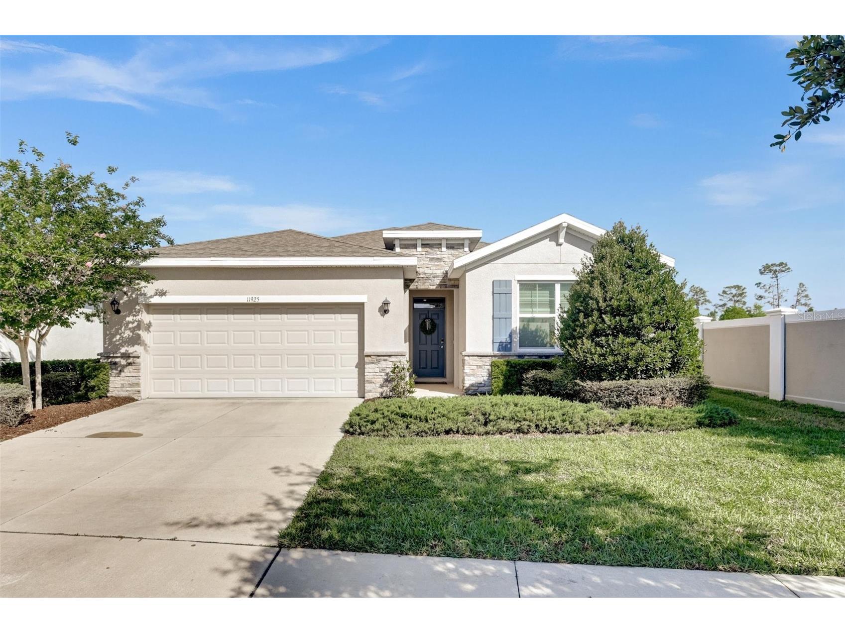 11925 Cross Vine Drive Riverview FL 33579 O6402460 image1
