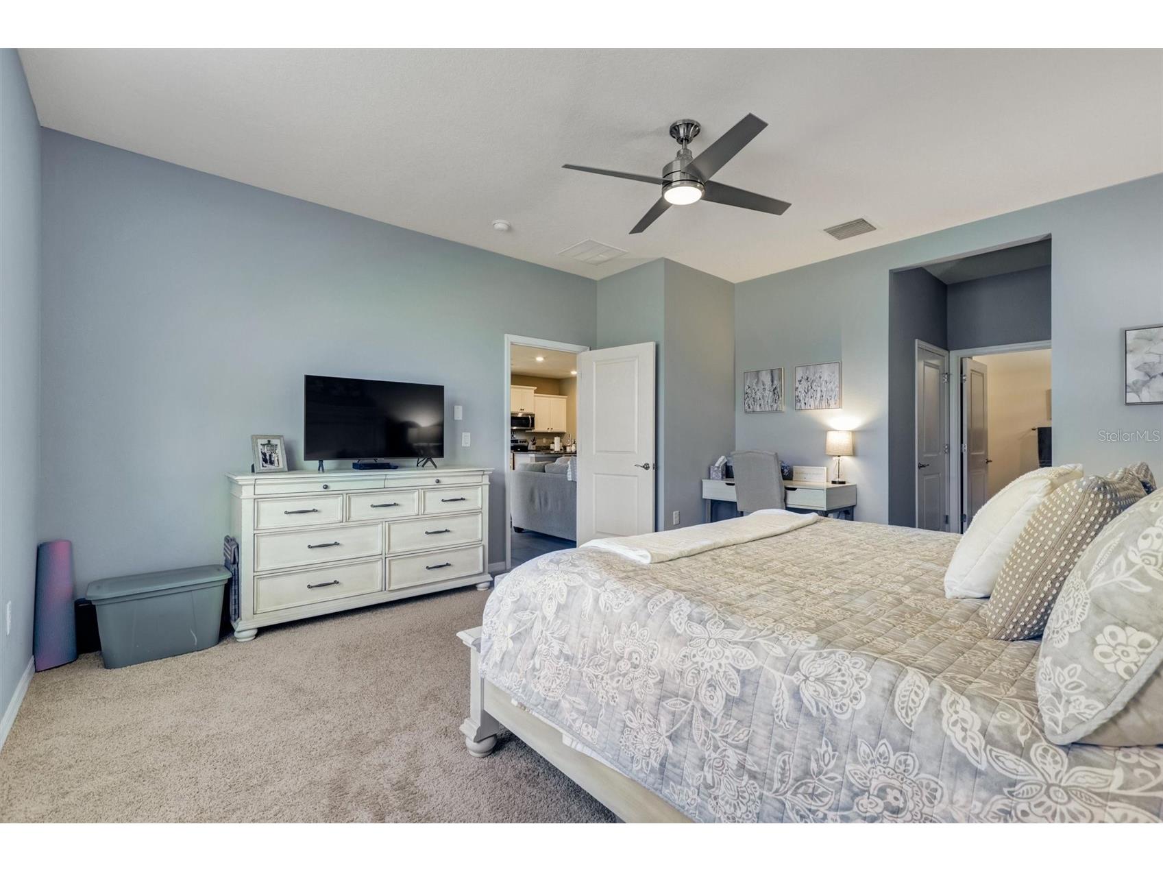 11925 Cross Vine Drive Riverview FL 33579 O6402460 image23