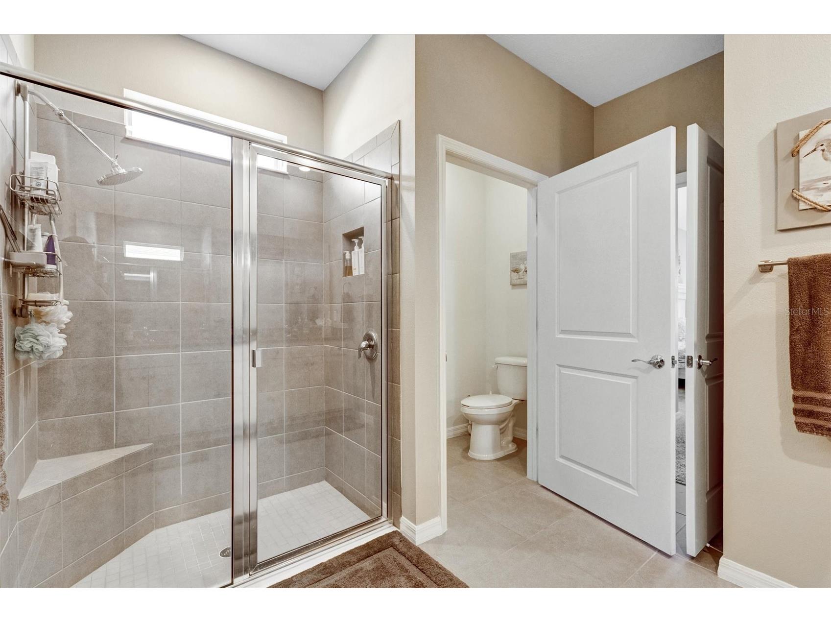 11925 Cross Vine Drive Riverview FL 33579 O6402460 image25