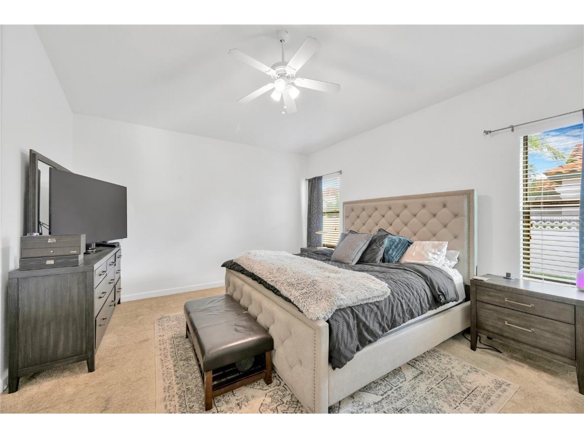 11926 Cinnamon Fern Drive Riverview FL 33579 TB8328632 image18