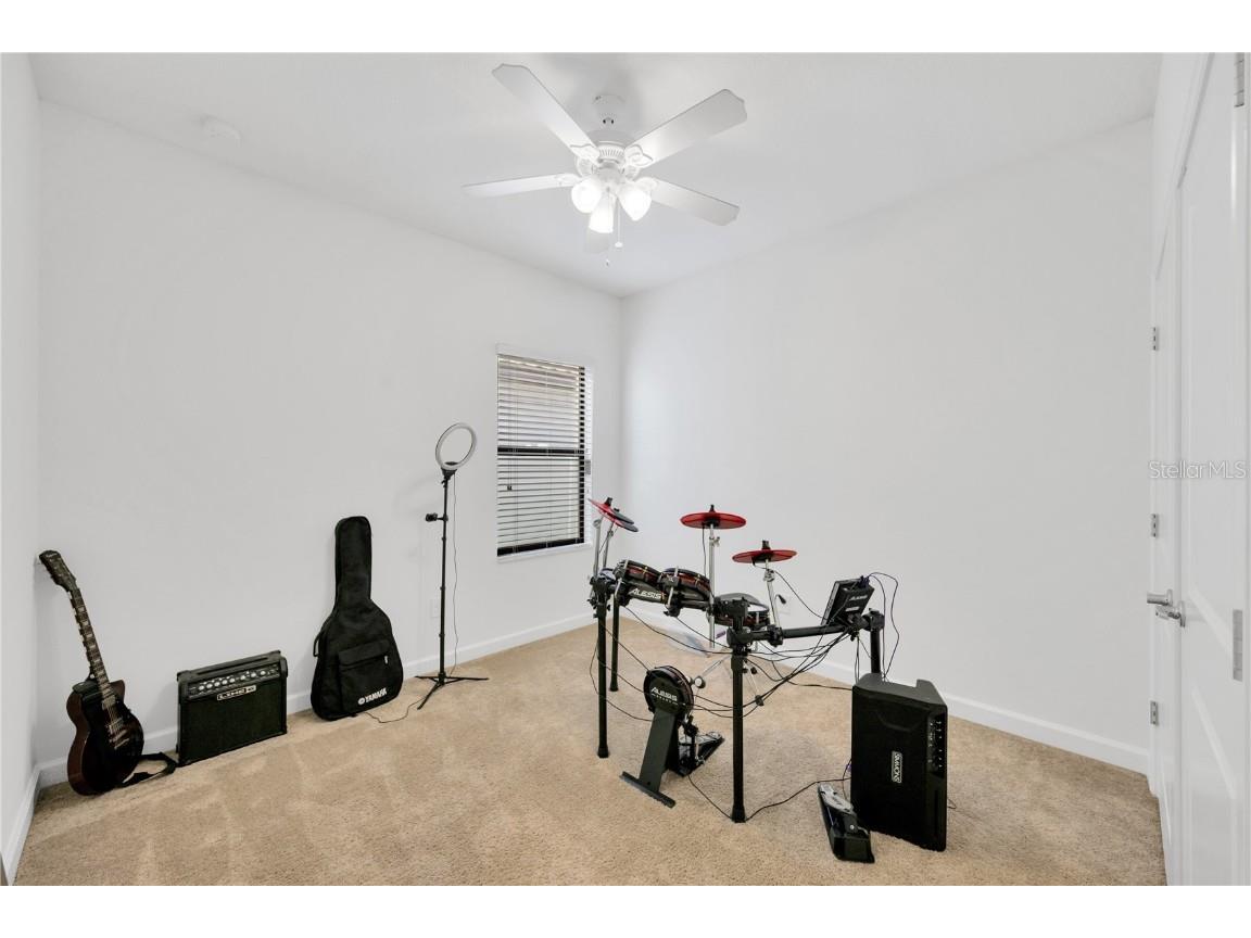 11926 Cinnamon Fern Drive Riverview FL 33579 TB8328632 image20