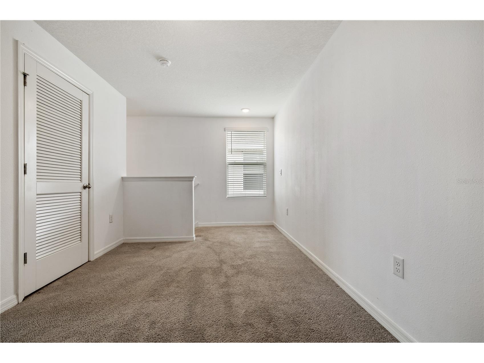 11926 Downy Birch Drive Riverview FL 33569 TB8516214 image19