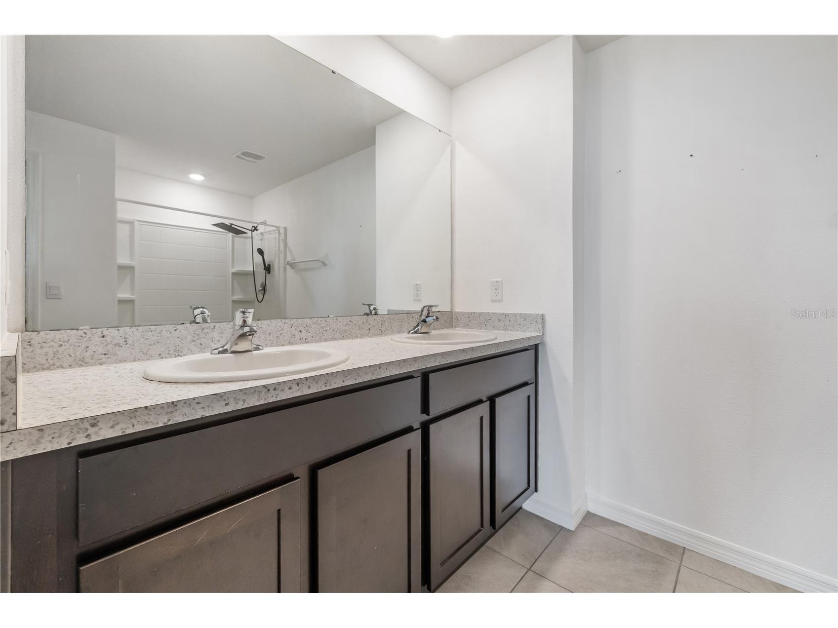 11926 Downy Birch Drive Riverview FL 33569 TB8516214 image23