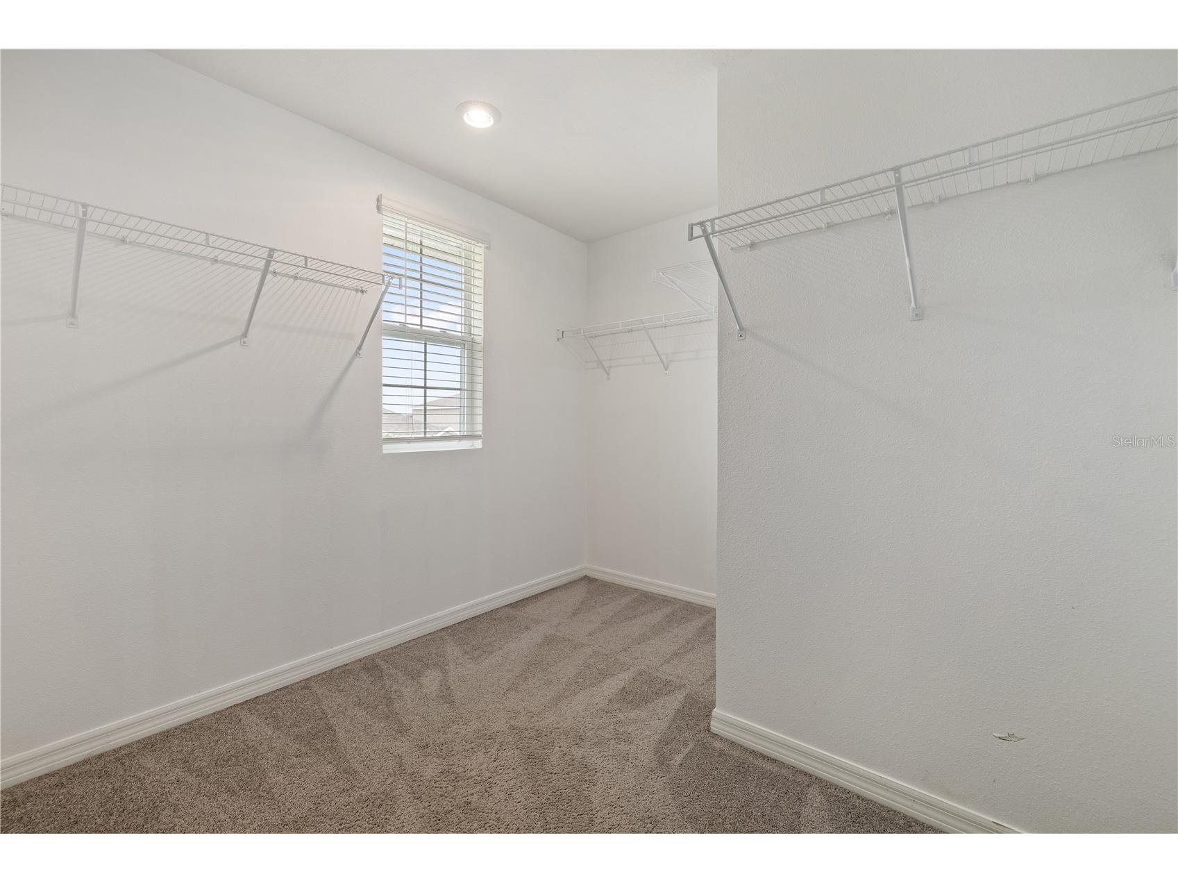11926 Downy Birch Drive Riverview FL 33569 TB8516214 image24