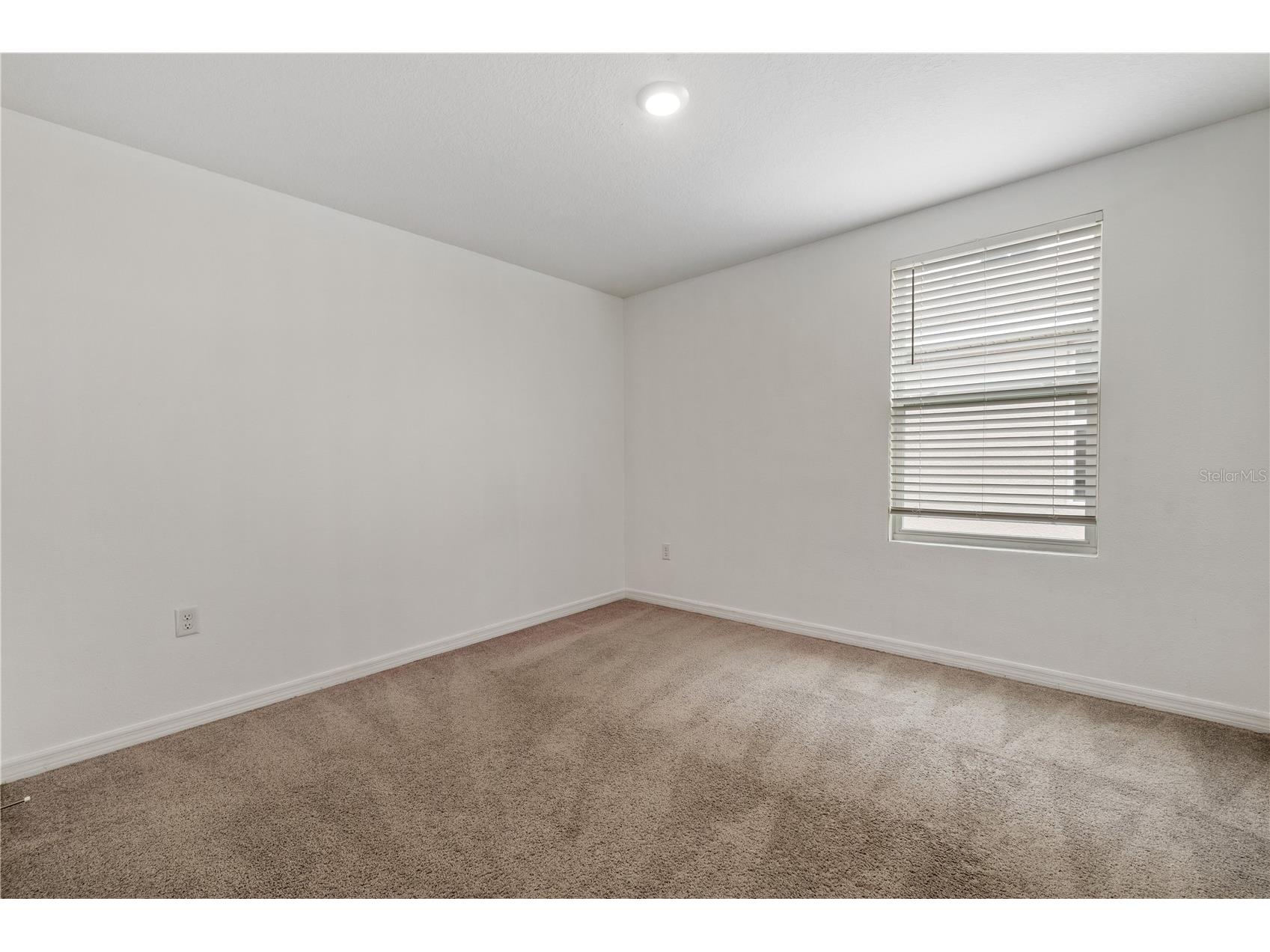 11926 Downy Birch Drive Riverview FL 33569 TB8516214 image27