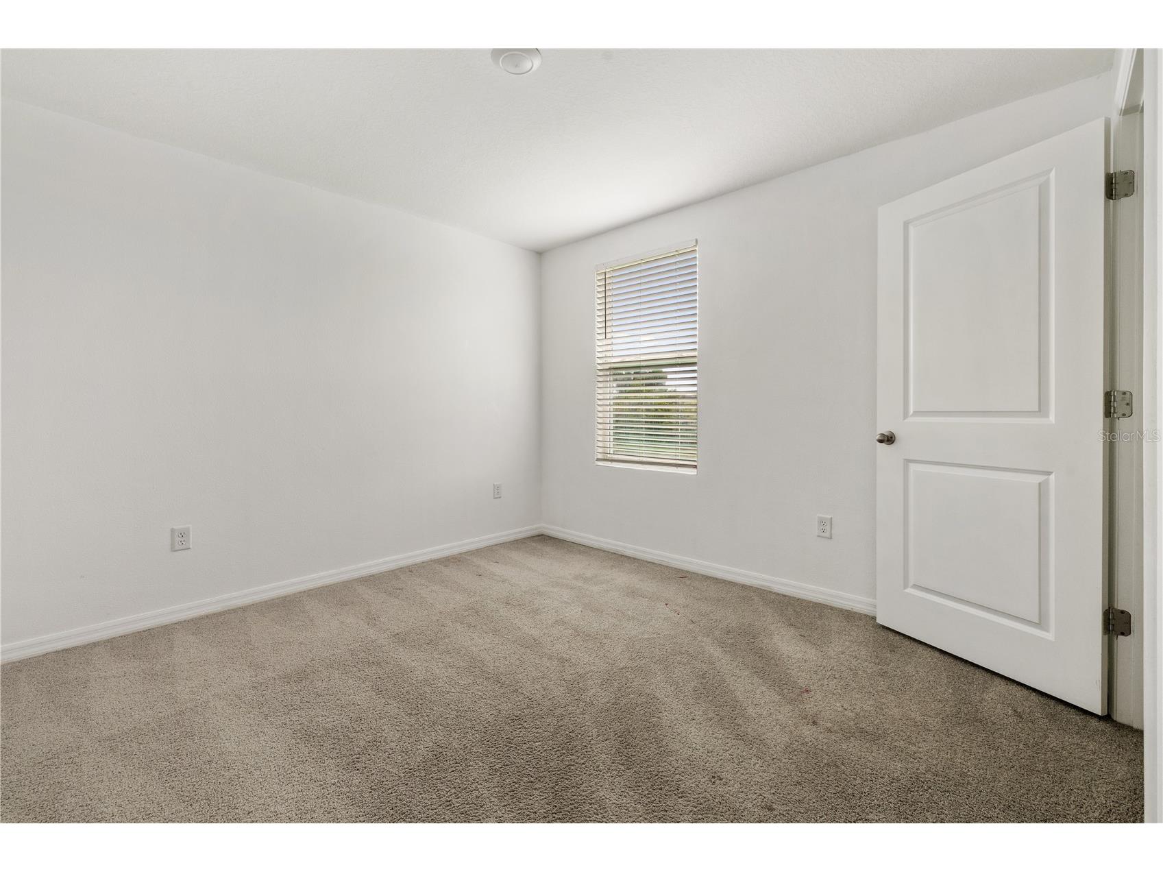 11926 Downy Birch Drive Riverview FL 33569 TB8516214 image28