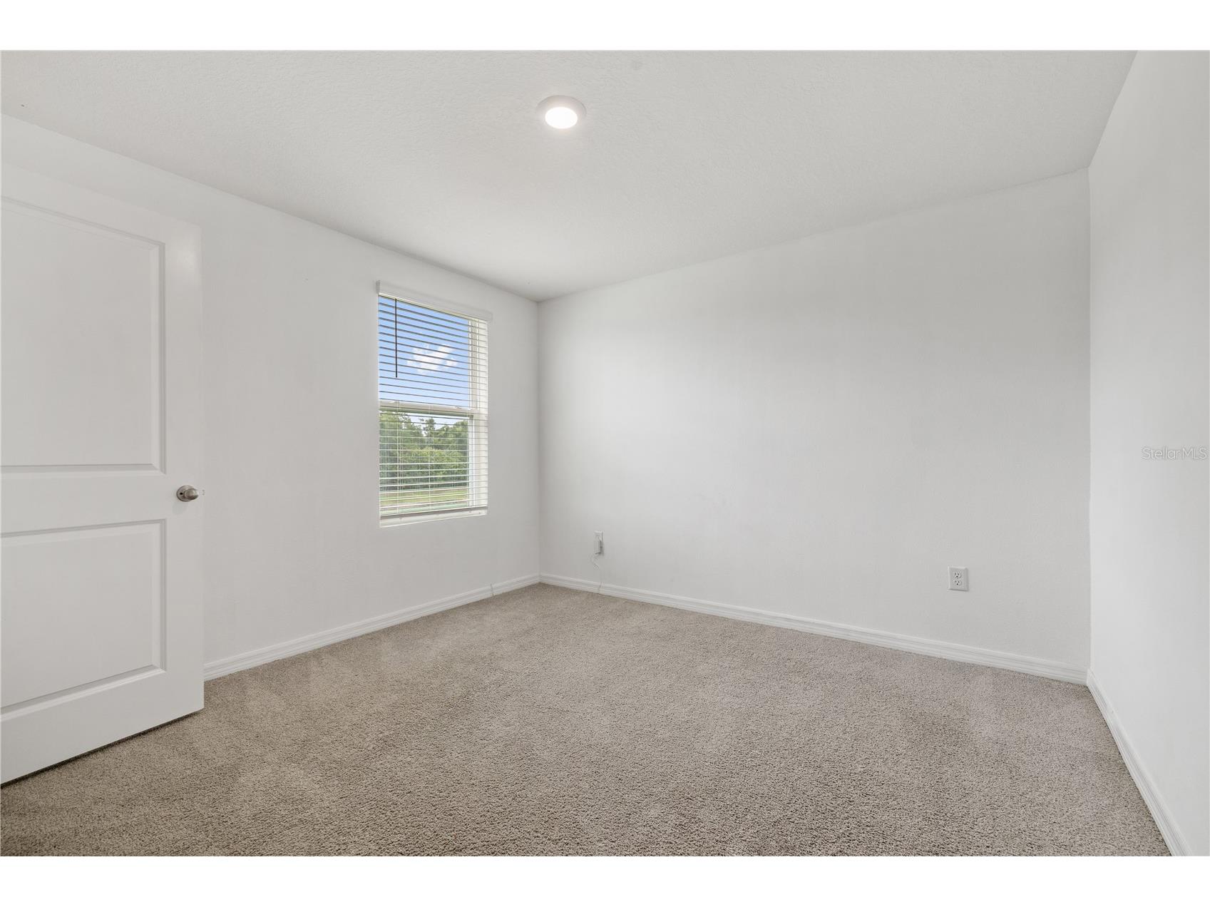 11926 Downy Birch Drive Riverview FL 33569 TB8516214 image30