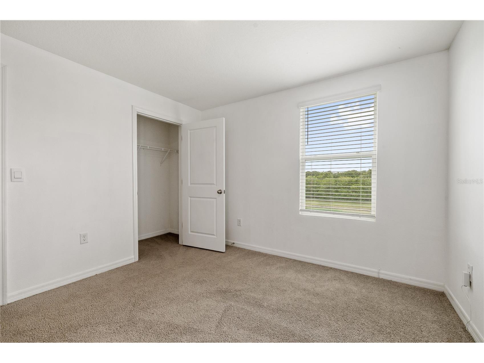 11926 Downy Birch Drive Riverview FL 33569 TB8516214 image31