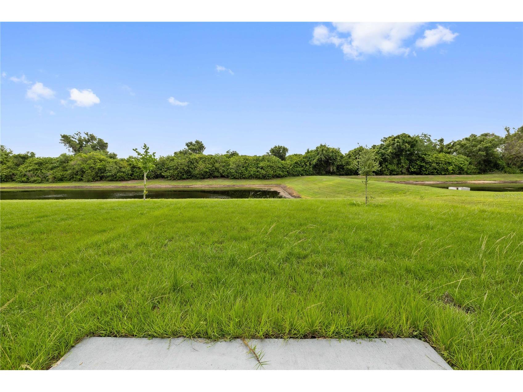 11926 Downy Birch Drive Riverview FL 33569 TB8516214 image32
