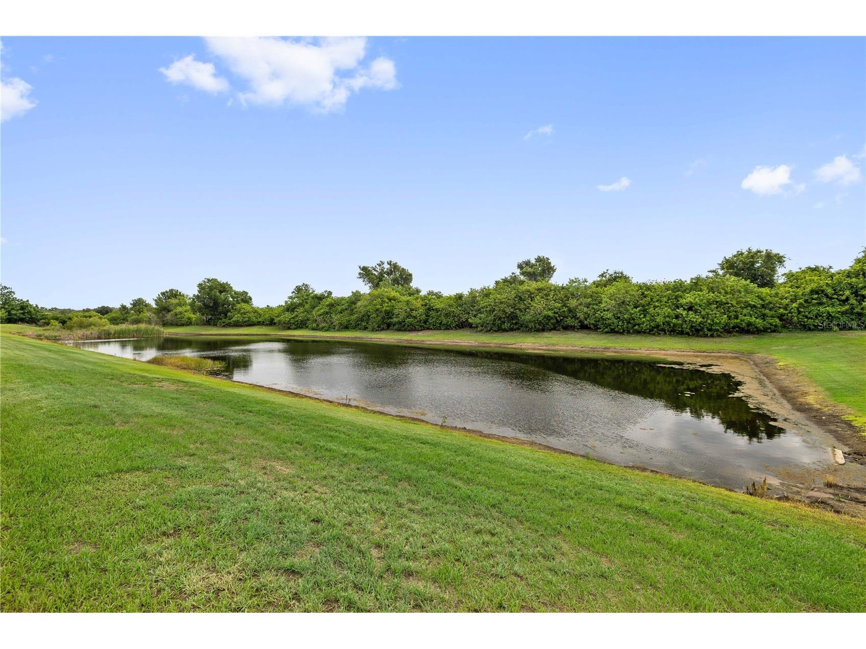 11926 Downy Birch Drive Riverview FL 33569 TB8516214 image33