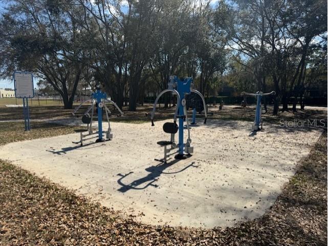 11926 Verrazano Drive Orlando FL 32836 O6289632 image53