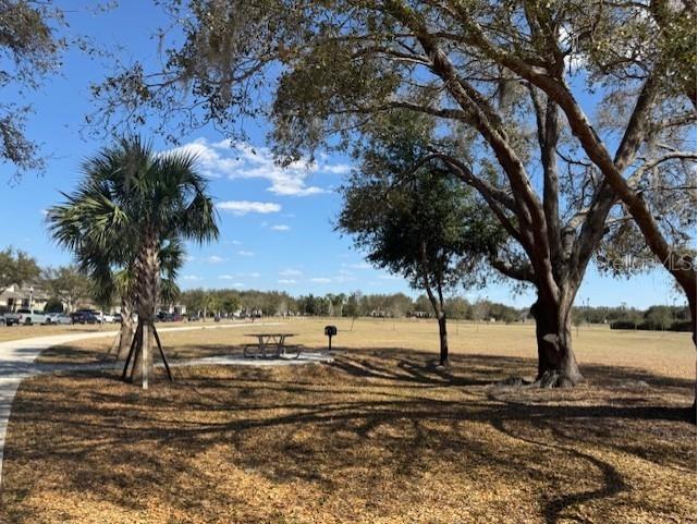 11926 Verrazano Drive Orlando FL 32836 O6289632 image55