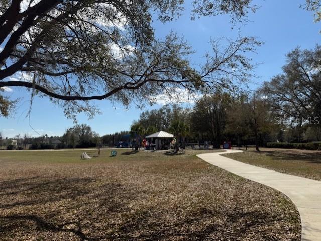 11926 Verrazano Drive Orlando FL 32836 O6289632 image56